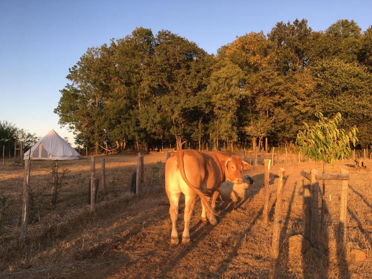 Nuit *é* Toilée à La Ferme Du Petit Puyaume Montravers