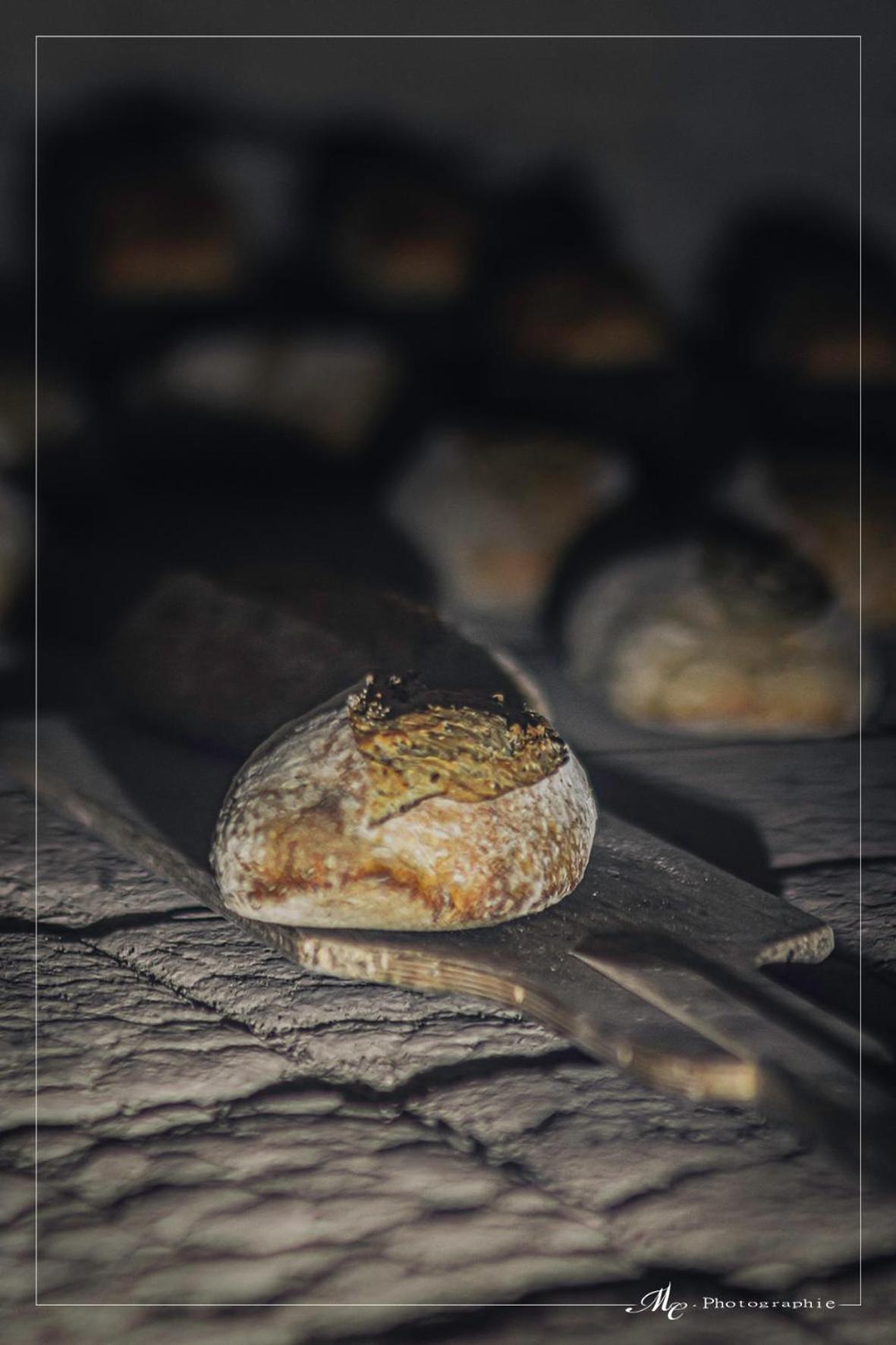 Nuit *é* Toilée à La Ferme Du Petit Puyaume * Montravers